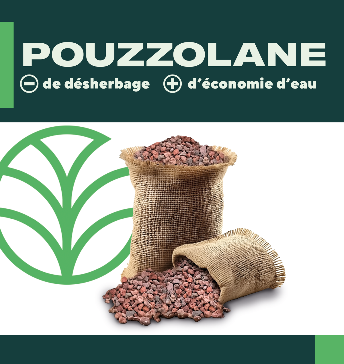 Calendrier du potager